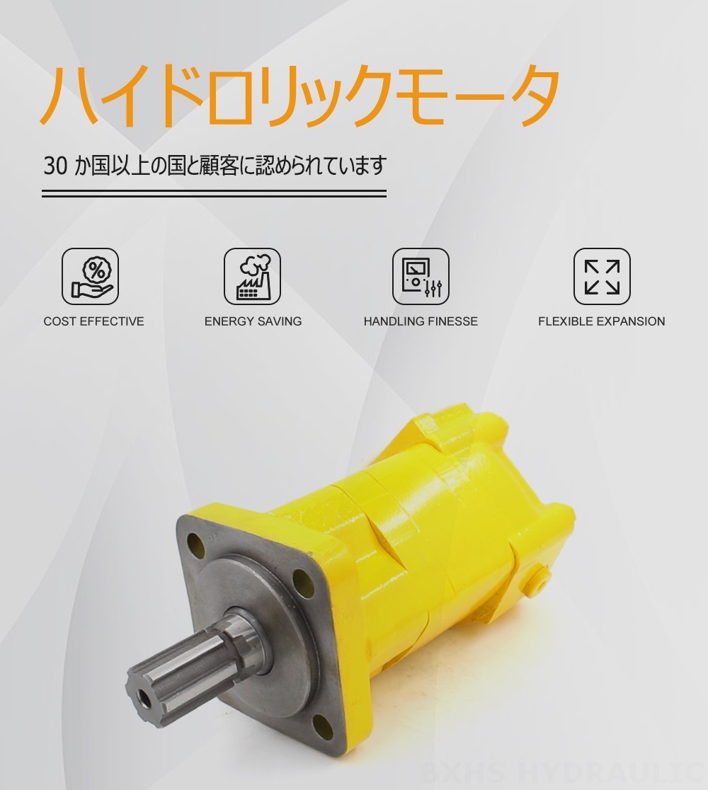 BM5サイクロイド油圧モーター-2 100 cc/r 75 Lpm 油圧モータ